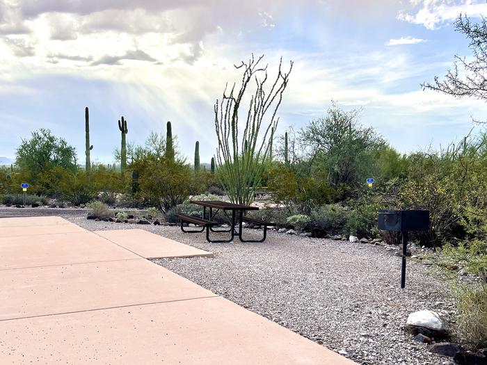 Pull-thru campsite with picnic table and grill, surrounded by cactus and desert vegetation.