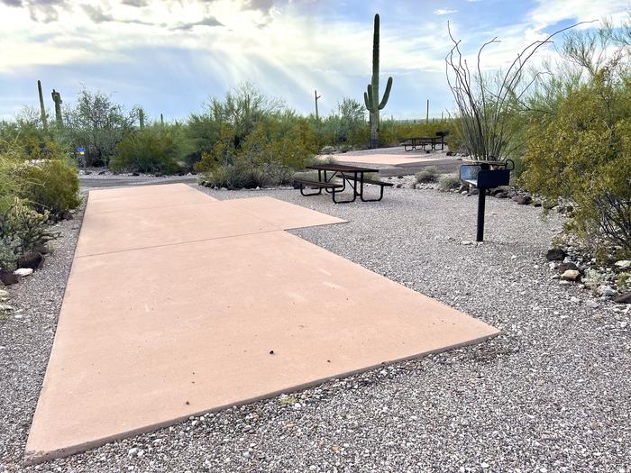 Pull-thru campsite with picnic table and grill, surrounded by cactus and desert vegetation.