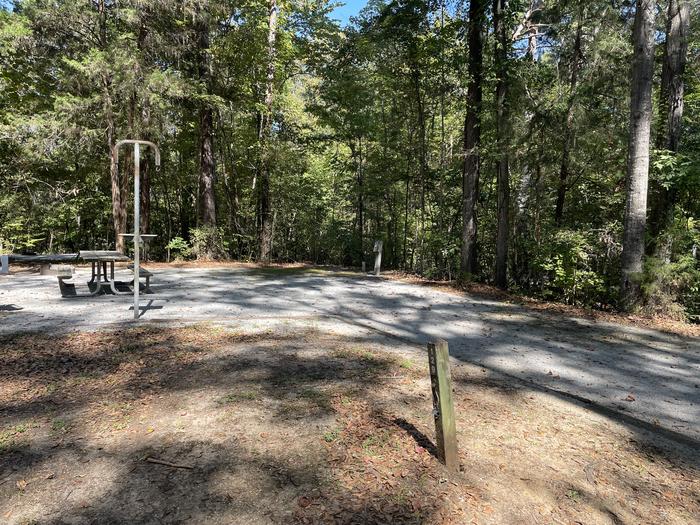 A photo of Site 129 of Loop ANTI at GUNTER HILL with Picnic Table, Electricity Hookup, Fire Pit, Shade, Lantern Pole, Water Hookup