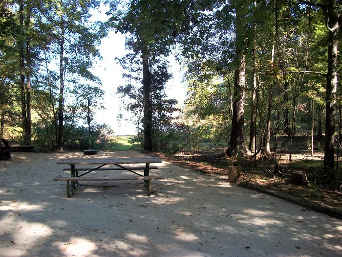 Site 62 Picnic Table