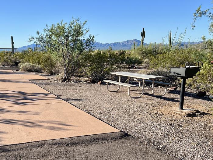 Pull-thru campsite with picnic table and grill, surrounded by cactus and desert vegetation.