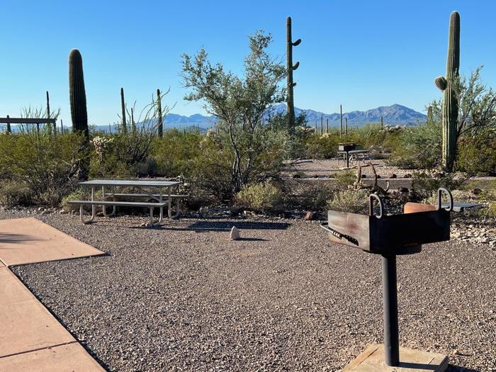 A picnic table sits near a grill and desert vegetation.Each site has a picnic table and grill.