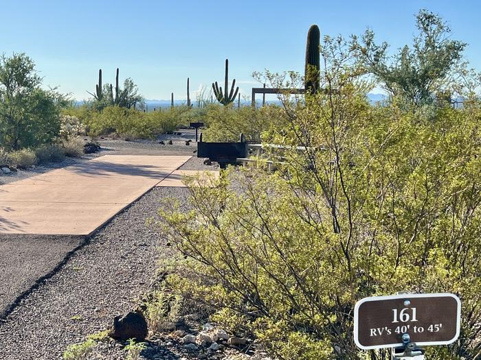 Pull-thru campsite with picnic table and grill, surrounded by cactus and desert vegetation.The entrance into Site 161