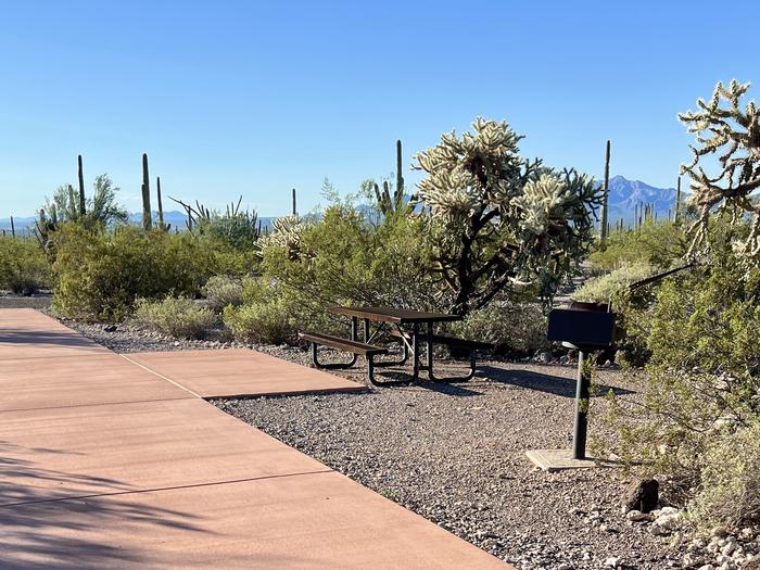 Pull-thru campsite with picnic table and grill, surrounded by cactus and desert vegetation.