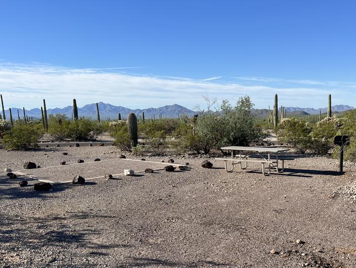 Pull-in parking tent camping site with picnic table and grill. Surrounded by cactus and desert vegetation.