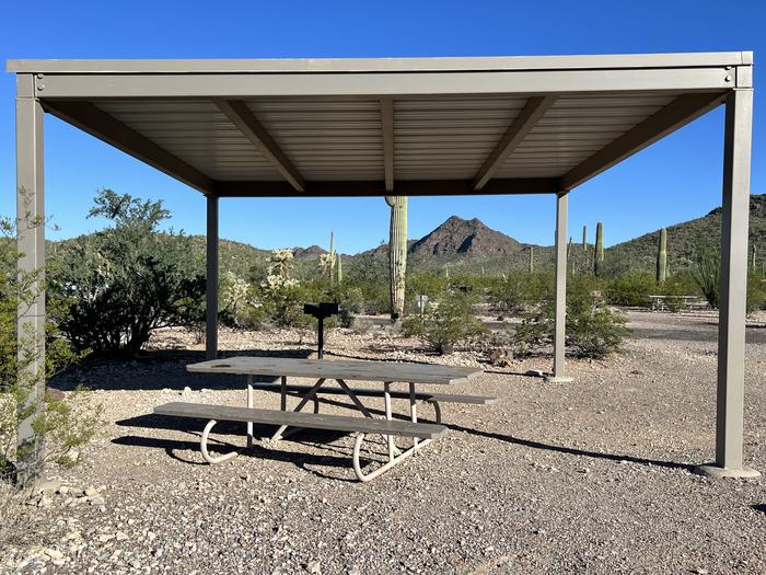 A picnic table sits near a grill and desert vegetation with a shade shelter.Each site has a picnic table and grill.