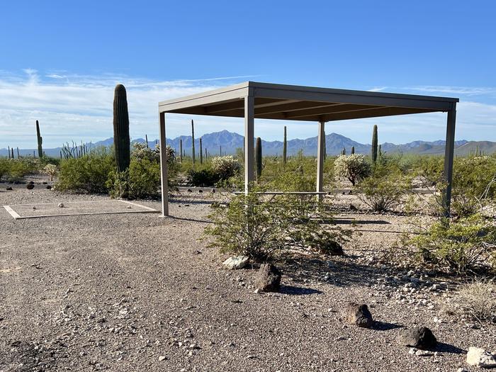 Pull-in parking tent camping site with sunshade, picnic table and grill. Surrounded by cactus and desert vegetation.