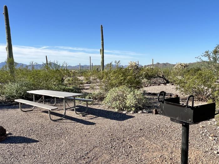 Pull-in parking tent camping site with picnic table and grill. Surrounded by cactus and desert vegetation.