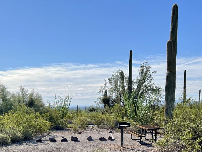 Pull-in parking tent camping site with picnic table and grill. Surrounded by cactus and desert vegetation.