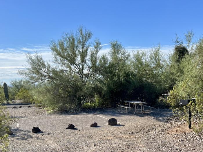 Pull-in parking tent camping site with picnic table and grill. Surrounded by cactus and desert vegetation.