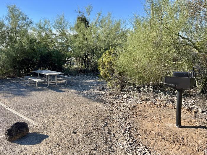 The picnic table of the site and grill surrounded by desert plants.Each site has a picnic table and grill.
