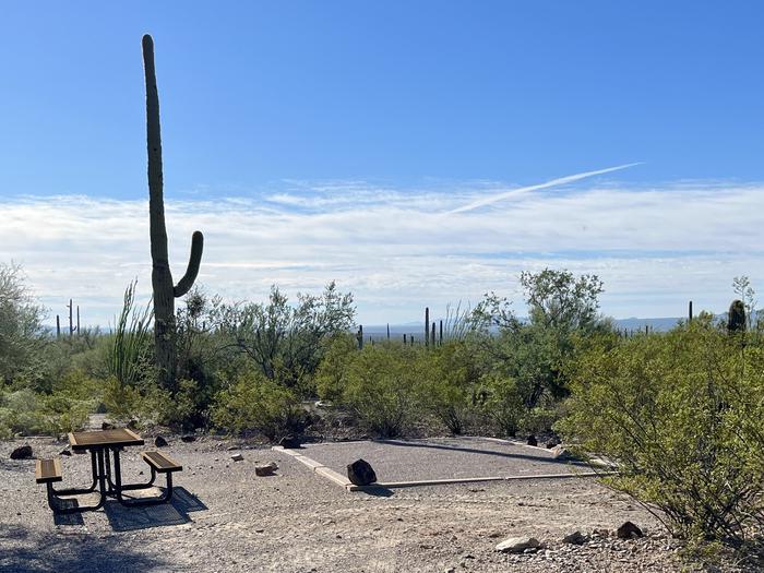 Pull-in parking tent camping site with picnic table and grill. Surrounded by cactus and desert vegetation.