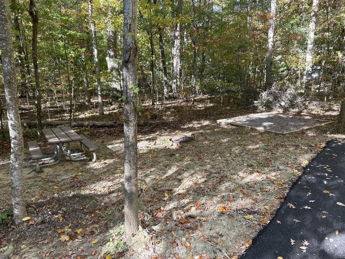 A picture of Site 40 of Loop A at Look Rock Campground with Picnic Table, Fire Pit, Tent Pad