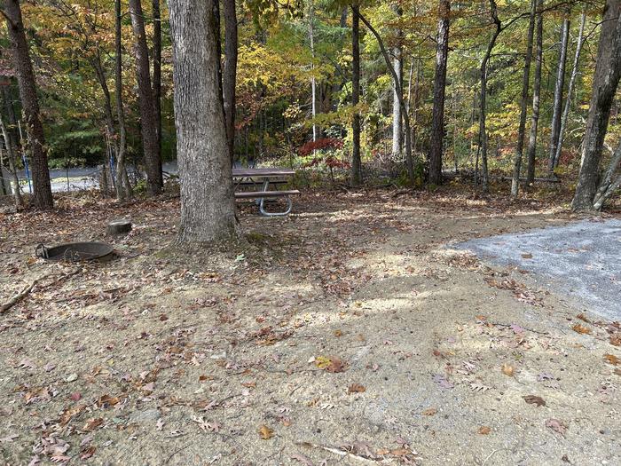 A photo of Site 33 of Loop A at Look Rock Campground with Picnic Table, Fire Pit, Tent Pad