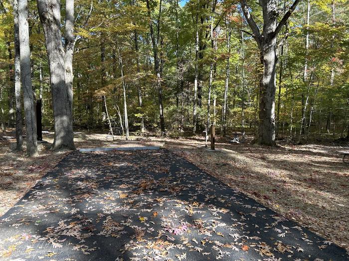 A photo of Site 60 of Loop A at Look Rock Campground with Picnic Table, Electricity Hookup, Fire Pit, Tent Pad, Water Hookup