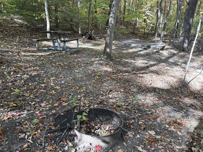 A picture of Site 49 of Loop A at Look Rock Campground with Picnic Table, Fire Pit, Tent PadA photo of Site 49 of Loop A at Look Rock Campground with Picnic Table, Fire Pit, Tent Pad