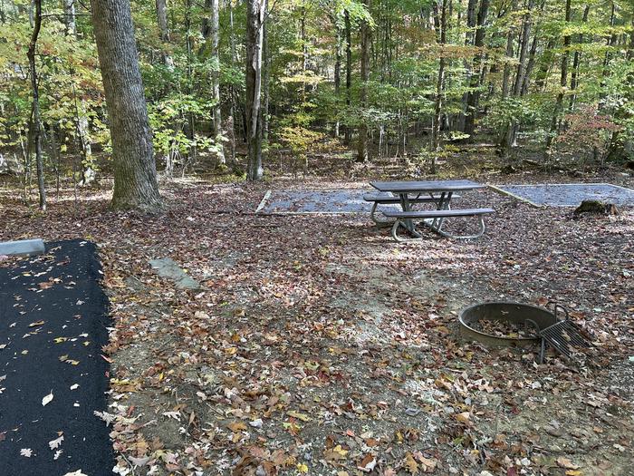A photo of Site 48 of Loop A at Look Rock Campground with Picnic Table, Fire Pit, Tent Pad