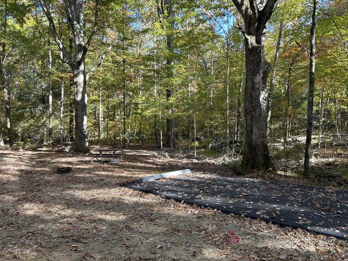 A photo of Site 61 of Loop A at Look Rock Campground with Picnic Table, Fire Pit, Tent Pad