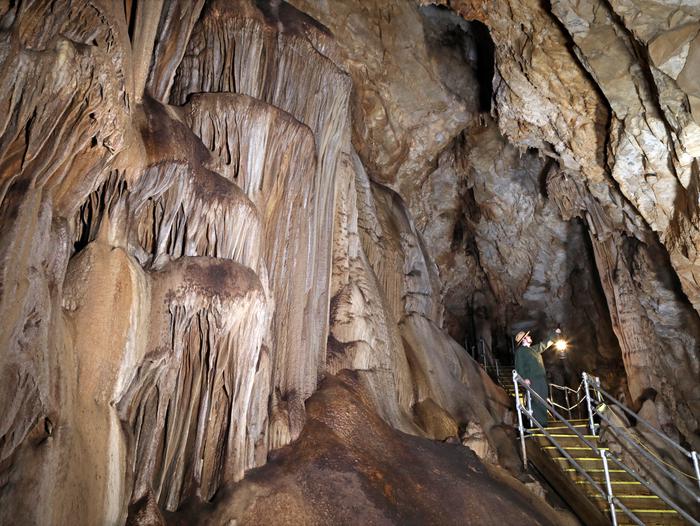 Beautiful Cave formations!A short cave tour awaits you where you'll be surrounded by beautiful cave formations.
