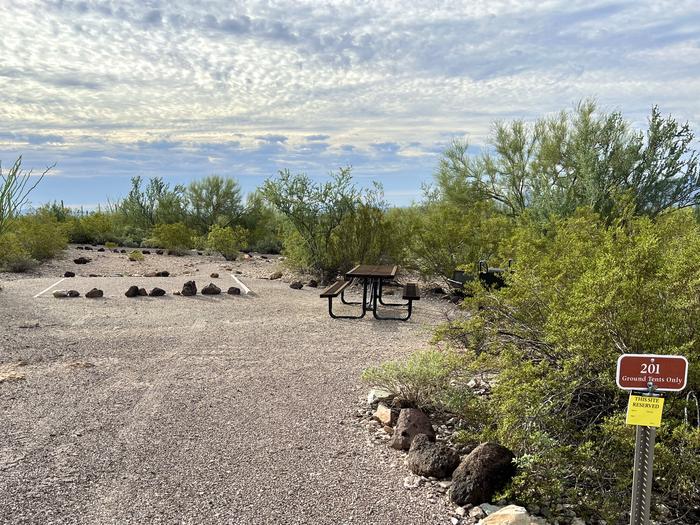 Pull-in parking tent camping site with picnic table and grill. Surrounded by cactus and desert vegetation.