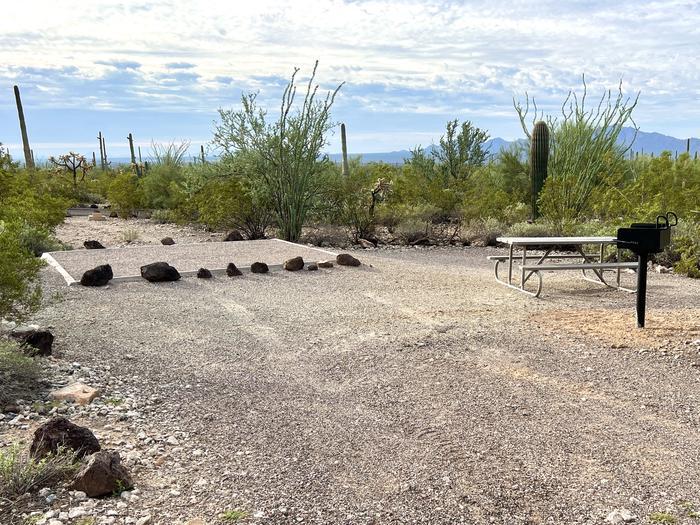 Pull-in parking tent camping site with picnic table and grill. Surrounded by cactus and desert vegetation.