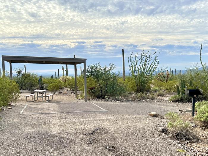 Pull-in parking tent camping site with sunshade, picnic table and grill. Surrounded by cactus and desert vegetation.