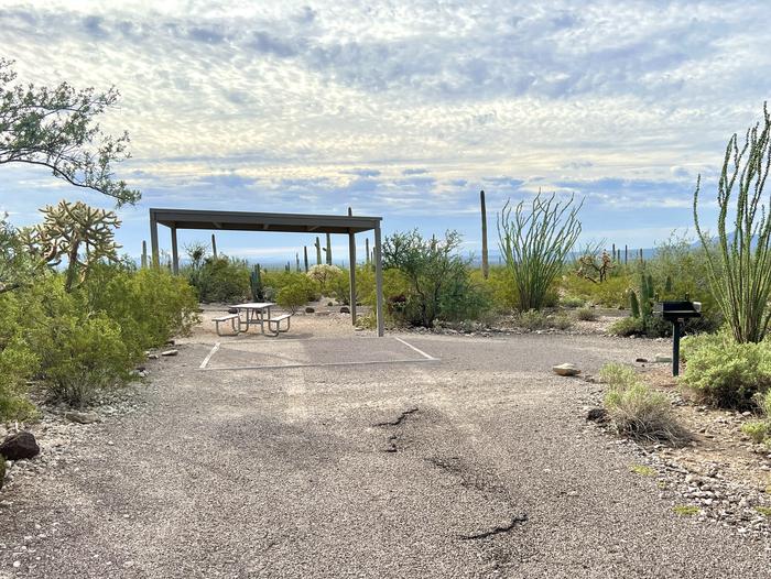 A picnic table sits near a grill and desert vegetation with a shade shelter.The entrance into the site.