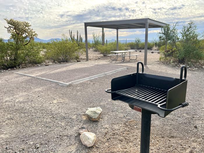 A picnic table sits near a grill and desert vegetation under a shade shelter.Each site has a picnic table and grill and is surrounded by cacti and other desert plants.