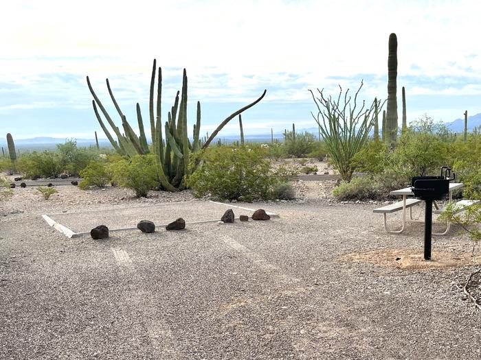 Pull-in parking tent camping site with picnic table and grill. Surrounded by cactus and desert vegetation.