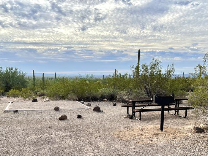 Pull-in parking tent camping site with picnic table and grill. Surrounded by cactus and desert vegetation.