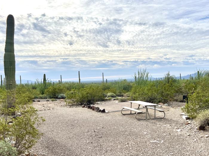 Pull-in parking tent camping site with picnic table and grill. Surrounded by cactus and desert vegetation.The entrance into Site 207