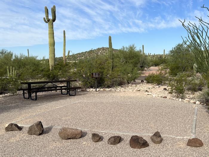 Pull-in parking tent camping site with picnic table and grill. Surrounded by cactus and desert vegetation.