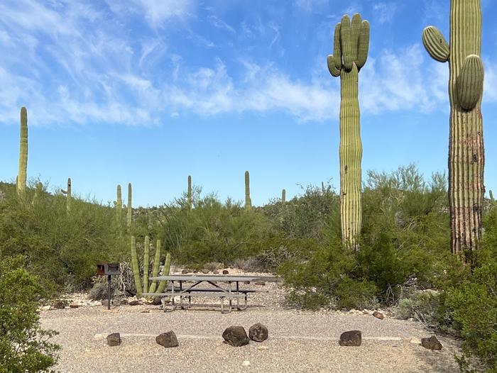 Pull-in parking tent camping site with picnic table and grill. Surrounded by cactus and desert vegetation.