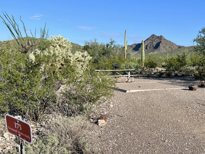 Pull-in parking tent camping site with picnic table and grill. Surrounded by cactus and desert vegetation.