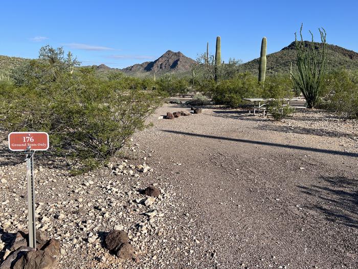 Pull-in parking tent camping site with picnic table and grill. Surrounded by cactus and desert vegetation.