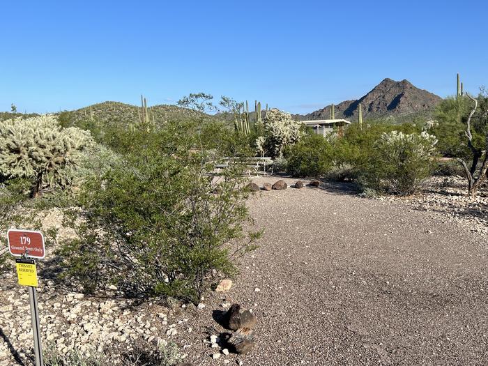 Pull-in parking tent camping site with picnic table and grill. Surrounded by cactus and desert vegetation.