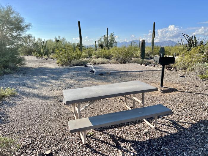 The picnic table of the site and grill surrounded by desert plants.Each site has a picnic table and grill and is surrounded by cacti and other desert plants.