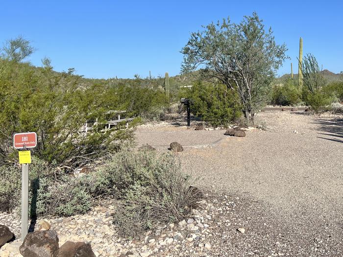 Pull-in parking tent camping site with picnic table and grill. Surrounded by cactus and desert vegetation.The entrance into Site 181