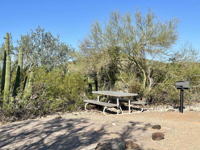 Pull-in parking tent camping site with picnic table and grill. Surrounded by cactus and desert vegetation.