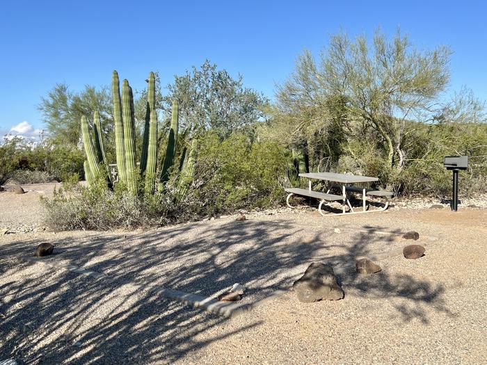 A picnic table sits near a grill and desert vegetation.The entrance into the site.