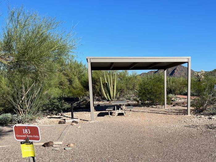 Pull-in parking tent camping site with sunshade, picnic table and grill. Surrounded by cactus and desert vegetation.