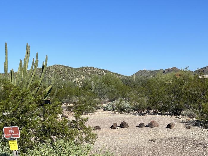 Pull-in parking tent camping site with picnic table and grill. Surrounded by cactus and desert vegetation.The entrance into Site 184