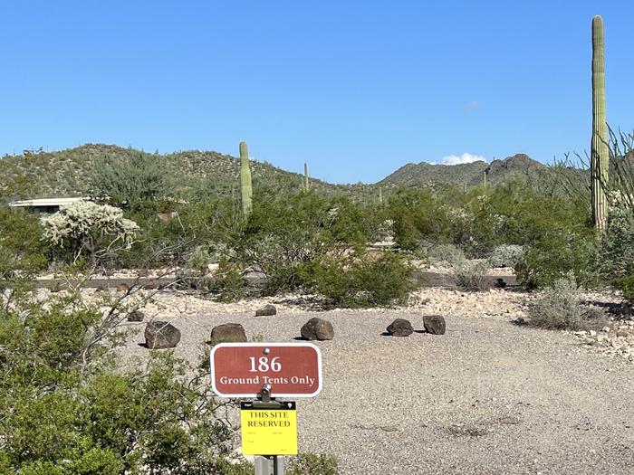 Pull-in parking tent camping site with picnic table and grill. Surrounded by cactus and desert vegetation.The entrance into Site 186