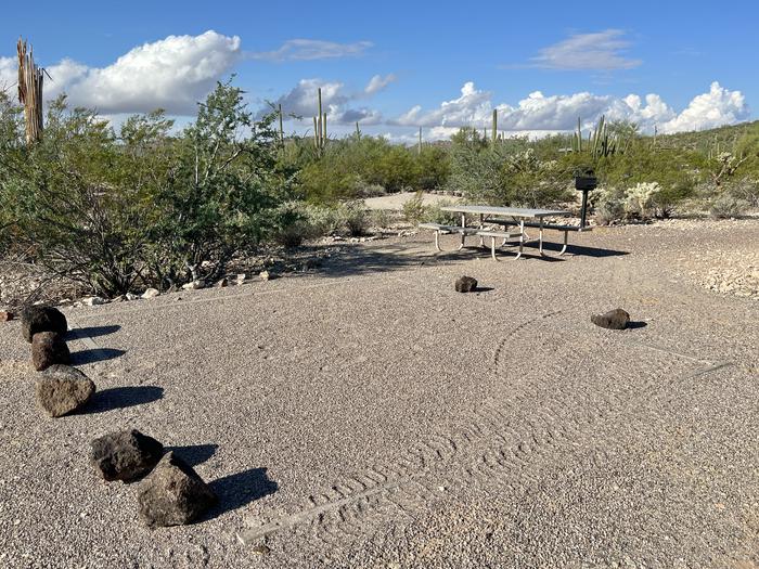 The large square tent pad of the site with the picnic table and grill nearby.Each site has tent pad, picnic table and grill and is surrounded by cacti and other desert plants.