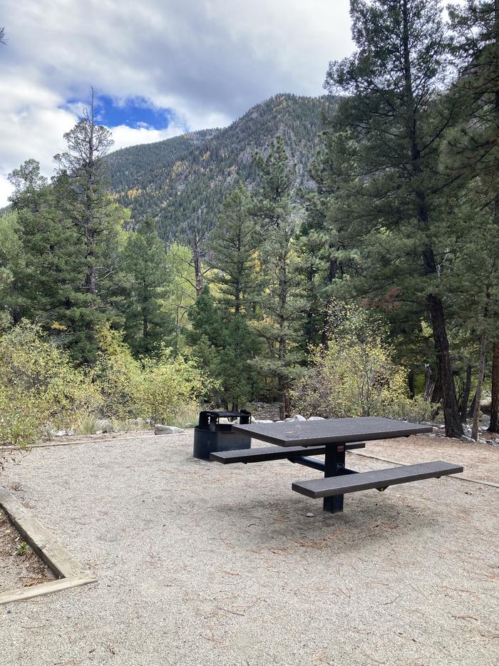 A photo of Site 009 of Loop MOUN at MOUNT PRINCETON with Picnic Table, Fire Pit