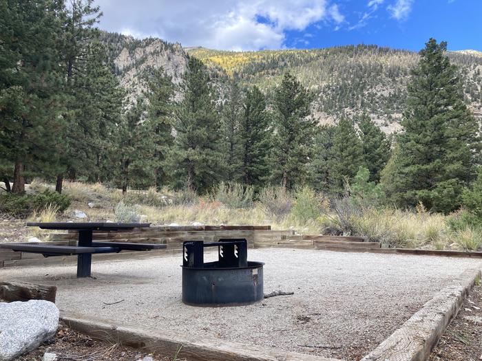 A photo of Site 010 of Loop MOUN at MOUNT PRINCETON with Picnic Table, Fire Pit, Tent Pad