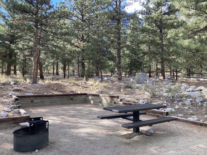 Campsite in the trees with metal fire pit and picnic tableA photo of Site 016 with picnic table and fire pit.