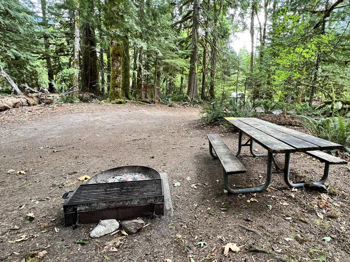 Shaded campsite containing a bear box, picnic table, and campfire ring.View of campsite.
