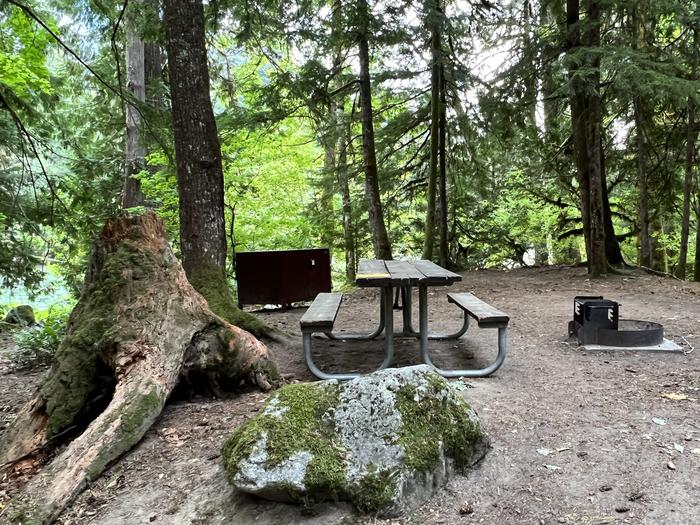 Small, shaded campsite containing a bear box, picnic table, and campfire ring. View of campsite.