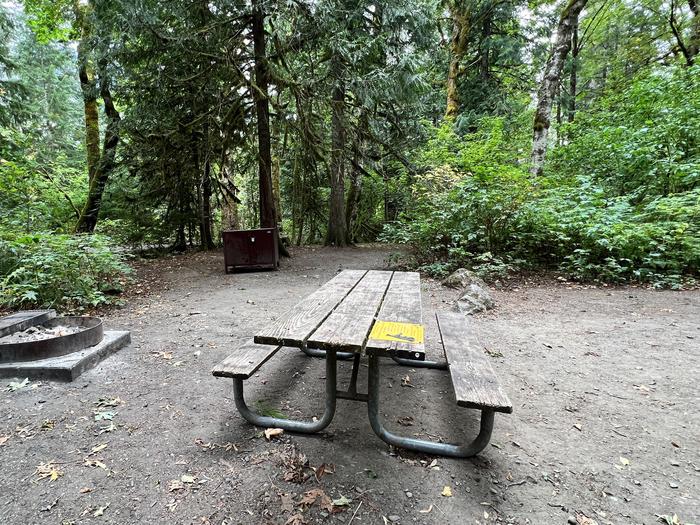 Lightly shaded campsite containing a campfire ring, picnic table, and bear box. View of campsite.